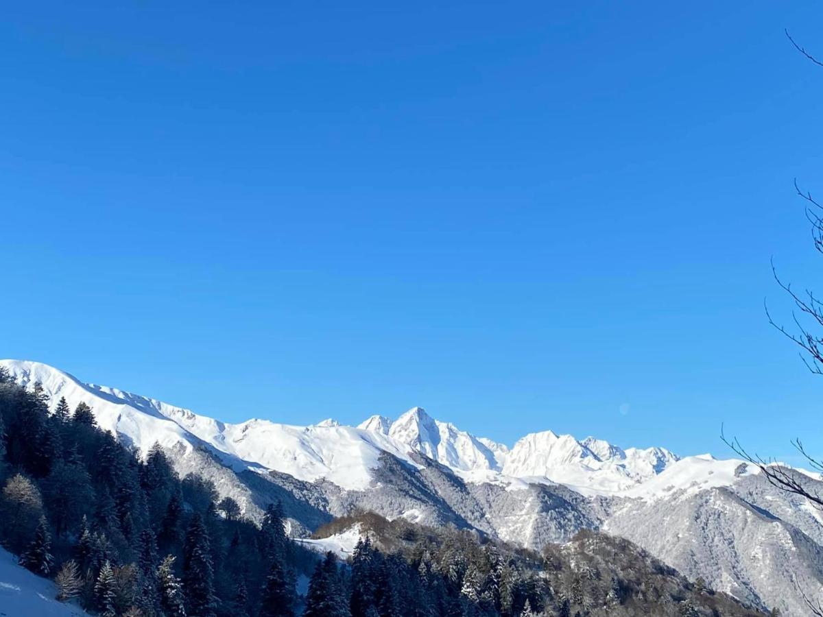 Pleine Nature Pied Pistes Piscine Chauffee Ustou Exterior photo